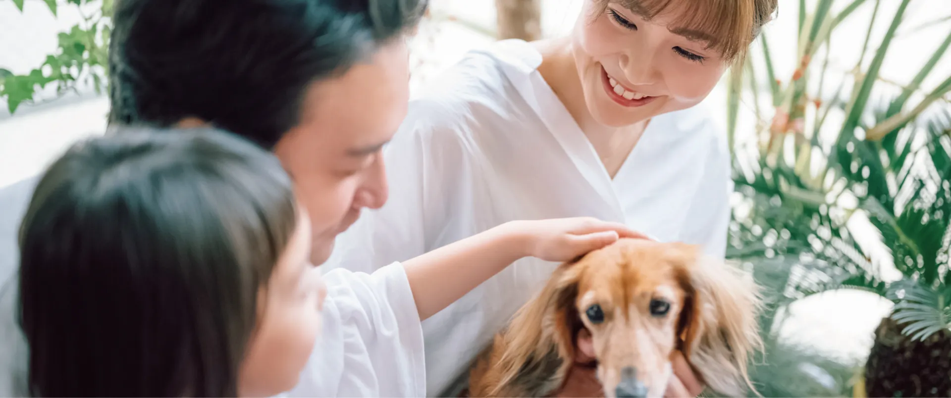 modelhouse メインイメージ